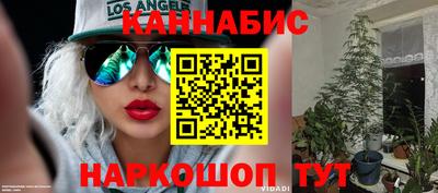 прущие грибы Ливны
