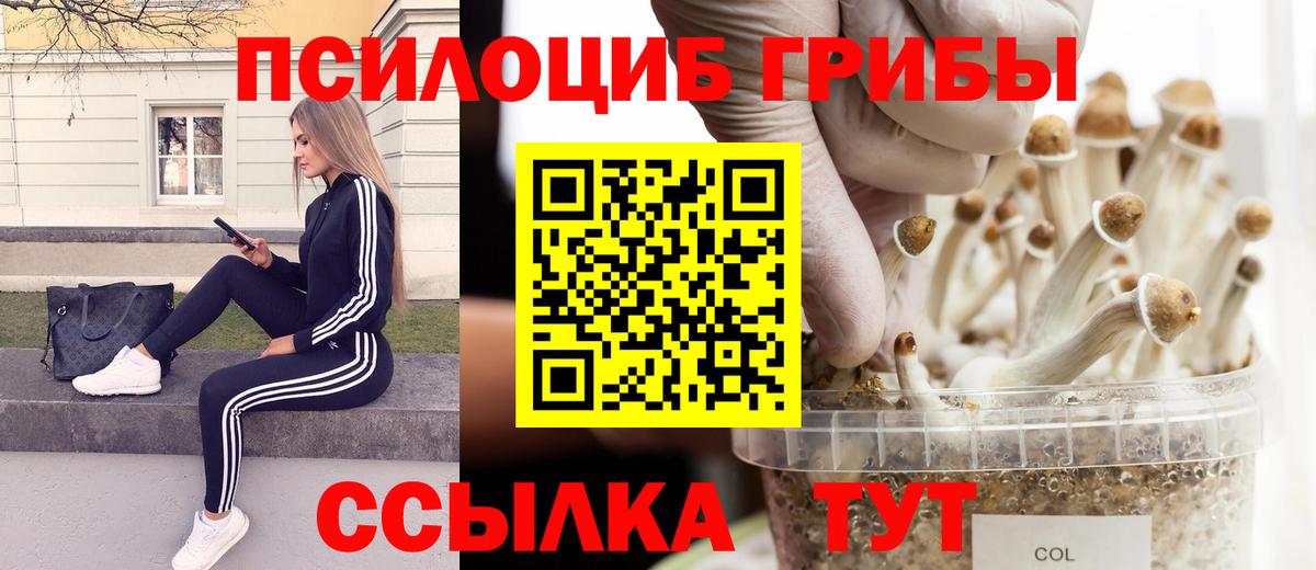 Галлюциногенные грибы GOLDEN TEACHER  Галлюциногенные грибы Cubensis  Вход с VPN  Белореченск 